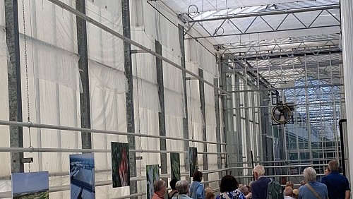Predstavitev projekta ob Dnevu Luštnega paradižnika, 13. 6. 2026