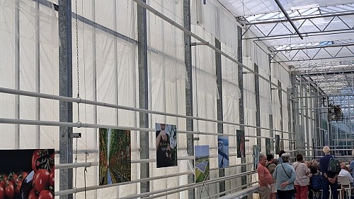 Predstavitev projekta ob Dnevu Luštnega paradižnika, 13. 6. 2026